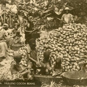 Ghana Hulling Cocoa Beans