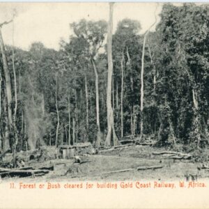 Ghana Forest cleared for Gold Coast Railway