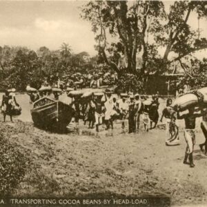 Ghana Transporting Cocoa Beans by Head Load