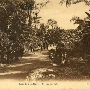 Ghana Gold Coast Forest SCOA #72