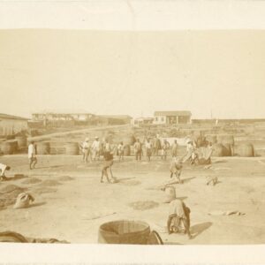 Ghana Cocoa Factory Workers photocard