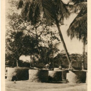 Ghana Gold Coast Fish Curing