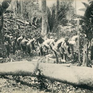 Ghana Working a Plantation for Chief 1911 to England