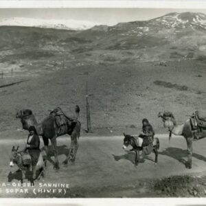 Lebanon Mount Sannine Camel Caravan 1937 to Sherborne