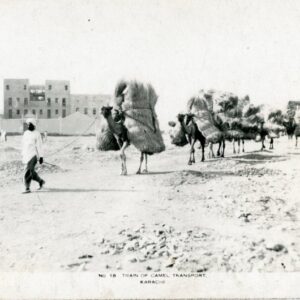 Pakistan Karachi Train of Camel Transport photocard
