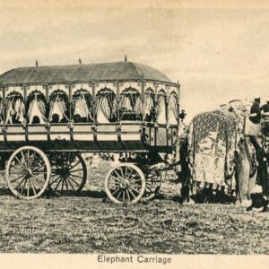 India Elephant Carriage