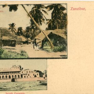 Zanzibar multi view postcard