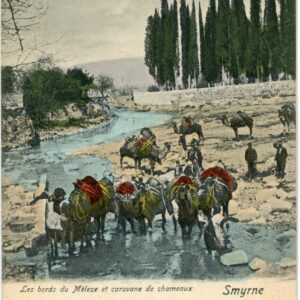 Turkey Izmir Smyrne Camel Caravan at River Meles