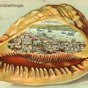 Turkey Istanbul British Levant Embossed Shell Tophane view 1905