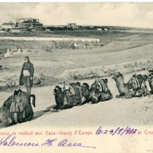 Turkey Istanbul Constantinople Camel Caravan 1903 to Austria