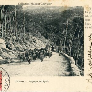 Lebanon Landscape 1908 from Egypt ed Mulsant Chevalier