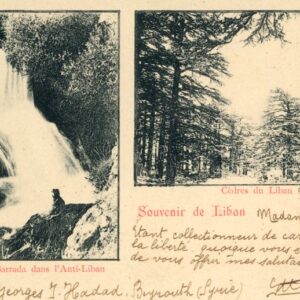 Lebanon Cedar and Waterfall 1903 Austria Levant ed Georges Assir 