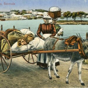 Bermuda Washer Women Donkey Cart