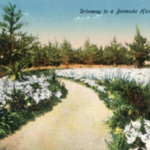 Bermuda Driveway to Home