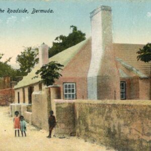 Bermuda Children by the Roadside