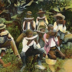 Bermuda Natives with Watermelon 1908 to Sedbergh
