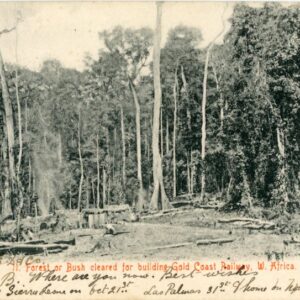 Ghana Forest cleared for Gold Coast Railway 1908 to Normandy