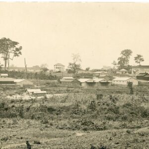 Ghana Kumasi Cocoa Plants photocard