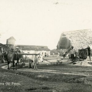 Malaysia Native Oil Press