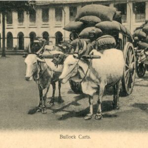 Malaysia Bullock Carts ed Kelly & Walsh