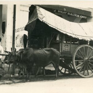 Malaysia Malay Bullock Cart photocard