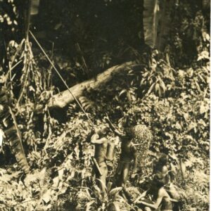 Malaysia Sakai using Sumpion Blowpipe