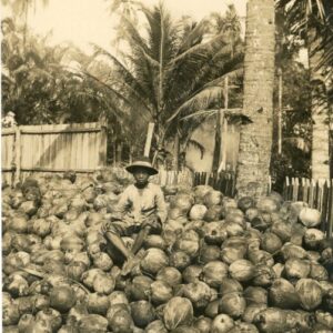 Singapore Malaya Coconuts