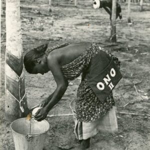Malaysia Woman Collecting Rubber ONO II