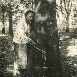 Malaysia Woman Tapping Rubber Malaya