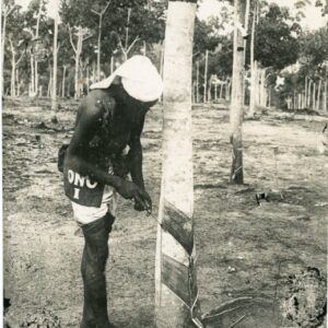 Malaysia Man Tapping Rubber ONO I