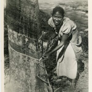 Malaysia Girl Tapping Rubber Malaya