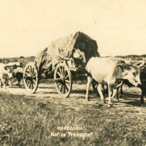 Macedonia Native Transport Ox Cart photocard