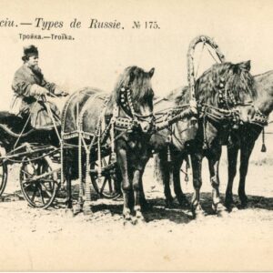 Russia Types Troika #175
