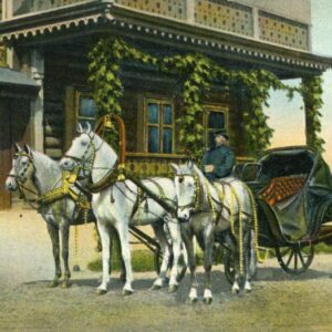 Russia types Multi Horse Cart