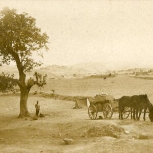 Macedonia Prilep Soldiers an Horse Cart