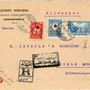 1917 Turkey Istanbul Registered Commercial to Cologne