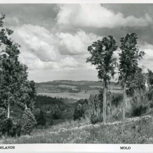Kenya Highlands Molo photocard