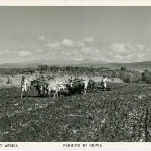 Kenya Farming in Kitale photocard