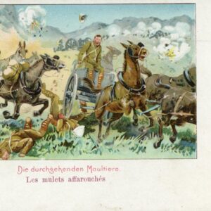 Boer War Through Mules Art postcard