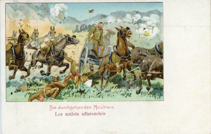Boer War Through Mules Art postcard