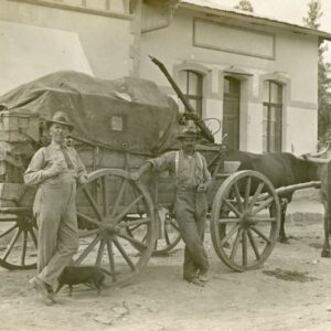 Namibia Windhoek Ox Cart German South West Africa