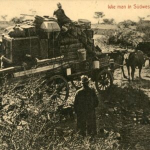 Namibia Moving with Ox Cart German South West Africa
