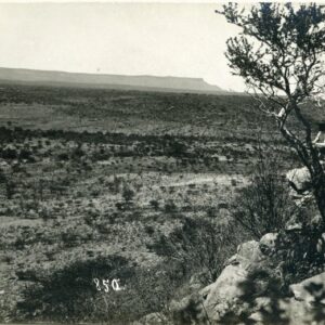 Namibia Man watching Plains German SWA ph Ernst Hecker