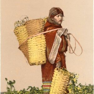 Bolivia Chuquisaquena Fruit Grower ed De Notta