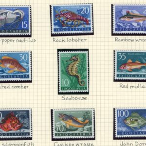 1956 Yugoslavia Adriatic Sea Creatures Fish Lobster **