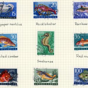 1956 Yugoslavia Adriatic Sea Creatures Fish Lobster used