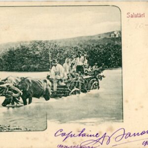 Romania Ox Cart 1901 Slatina to Coutras