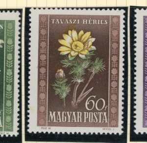 1950 Hungary Flowers ** and Used