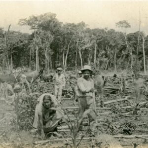 Bolivia Beni Chaco Workers photocard