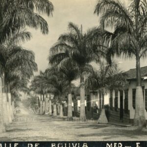 Bolivia La Paz Street photocard by Obando